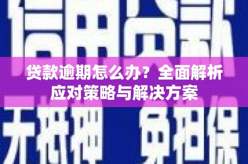 玉树贷款逾期怎么办？全面解析应对策略与解决方案