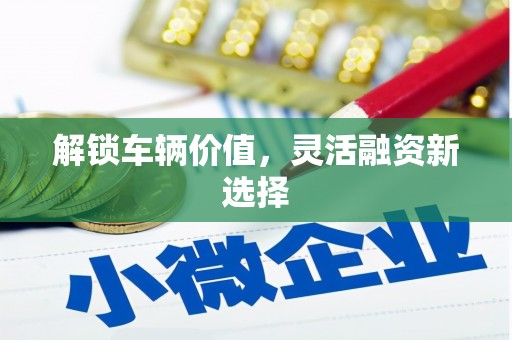 玉树解锁车辆价值，灵活融资新选择