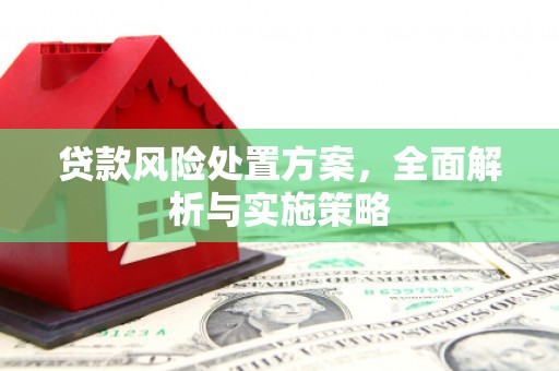玉树贷款风险处置方案，全面解析与实施策略