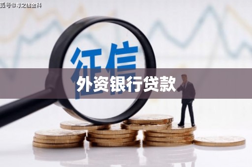 玉树外资银行贷款