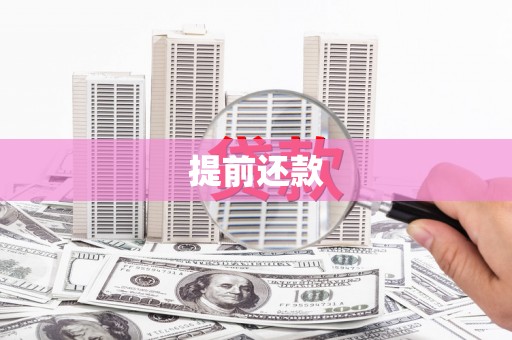 玉树提前还款
