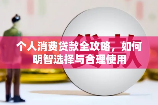 玉树个人消费贷款全攻略，如何明智选择与合理使用