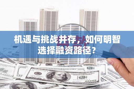 玉树机遇与挑战并存，如何明智选择融资路径？