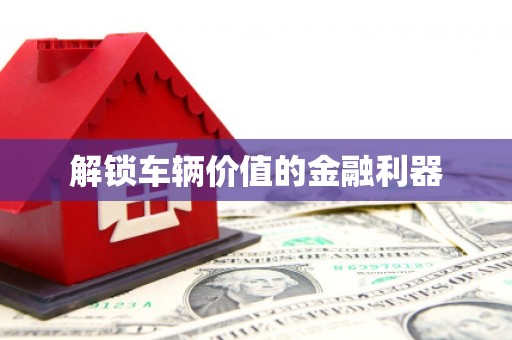 玉树解锁车辆价值的金融利器