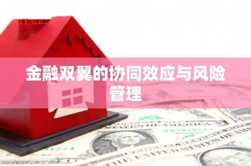 玉树金融双翼的协同效应与风险管理
