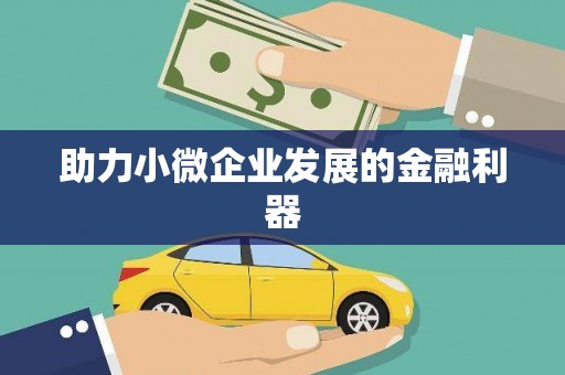 玉树助力小微企业发展的金融利器