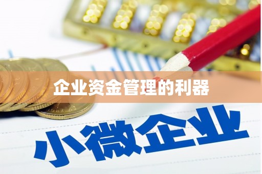玉树企业资金管理的利器