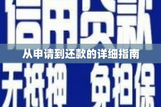 玉树从申请到还款的详细指南