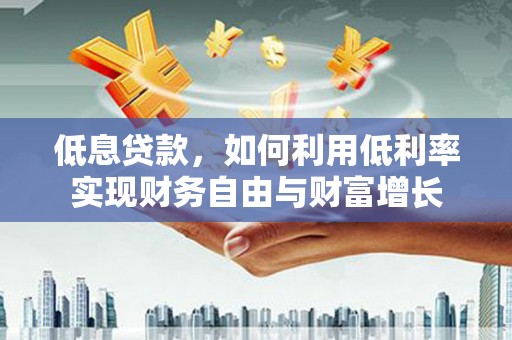 玉树低息贷款，如何利用低利率实现财务自由与财富增长