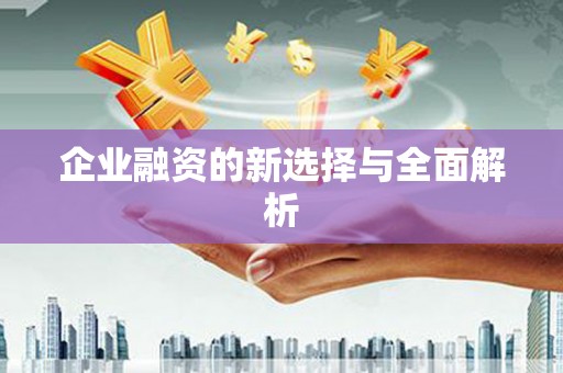玉树企业融资的新选择与全面解析