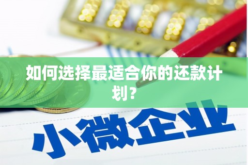 玉树如何选择最适合你的还款计划？