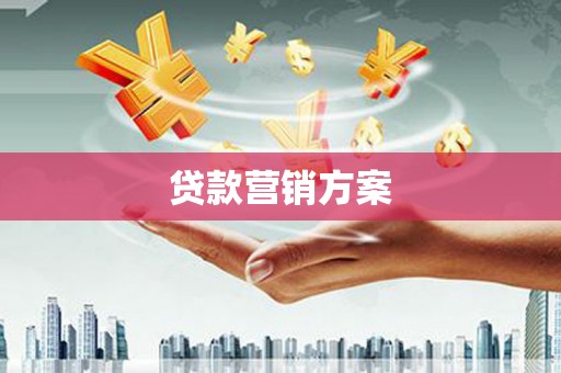 玉树贷款营销方案