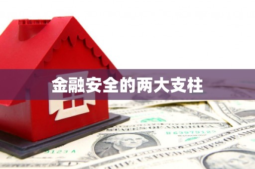 玉树金融安全的两大支柱