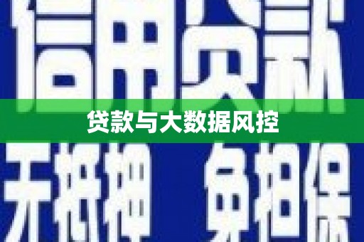 玉树贷款与大数据风控