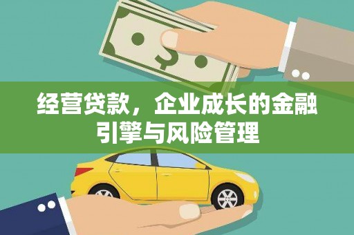 玉树经营贷款，企业成长的金融引擎与风险管理