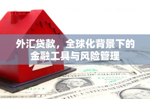 玉树外汇贷款，全球化背景下的金融工具与风险管理