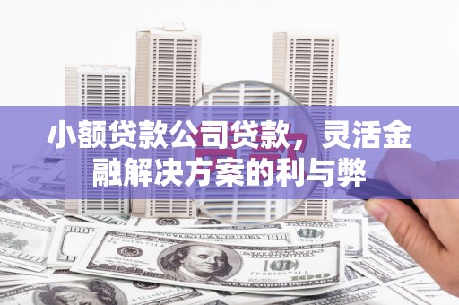 玉树小额贷款公司贷款，灵活金融解决方案的利与弊