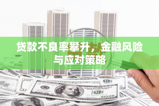 玉树贷款不良率攀升，金融风险与应对策略