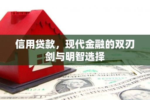 玉树信用贷款，现代金融的双刃剑与明智选择