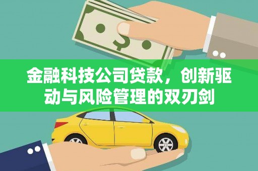 玉树金融科技公司贷款，创新驱动与风险管理的双刃剑