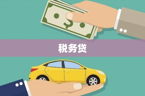 玉树税务贷