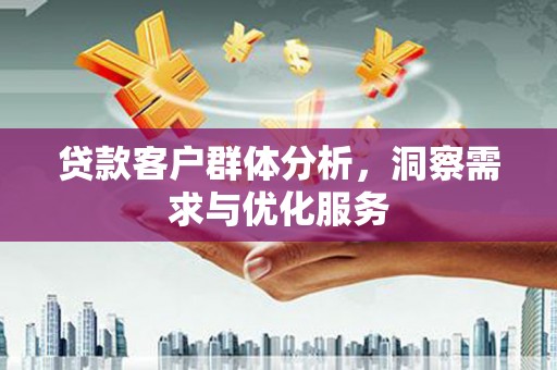 玉树贷款客户群体分析，洞察需求与优化服务
